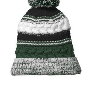 Illinois Audubon Society Pom Pom Beanie
