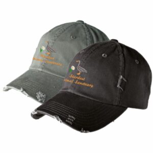 Stardust Animal Sanctuary District Distressed Cap