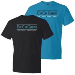 ECG Softstyle Lightweight T-Shirt with Flat or Glitter Vinyl