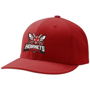 Hornets Baseball 01 PLAYERS GAME CAP