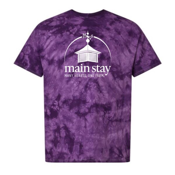 Main Stay Therapeutic Farm Adult & Youth Crystal Tie-Dyed T-Shirt - Image 3