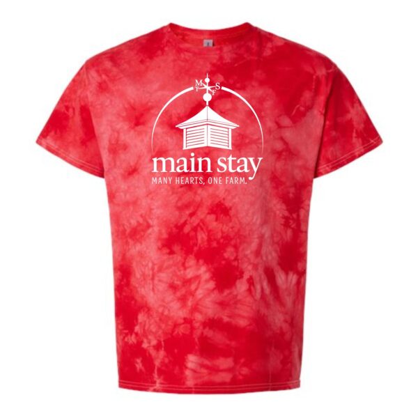 Main Stay Therapeutic Farm Adult & Youth Crystal Tie-Dyed T-Shirt - Image 4