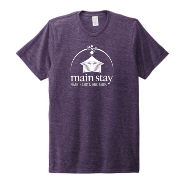 Main Stay Therapeutic Farm Adult Unisex Tri-Blend Tee - Image 7