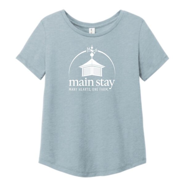 Main Stay Therapeutic Farm Ladies Relaxed Tri-Blend Scoop Neck Tee - Image 5