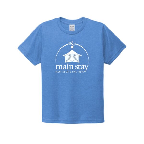 Main Stay Therapeutic Farm Youth Tri-Blend Tee - Image 3