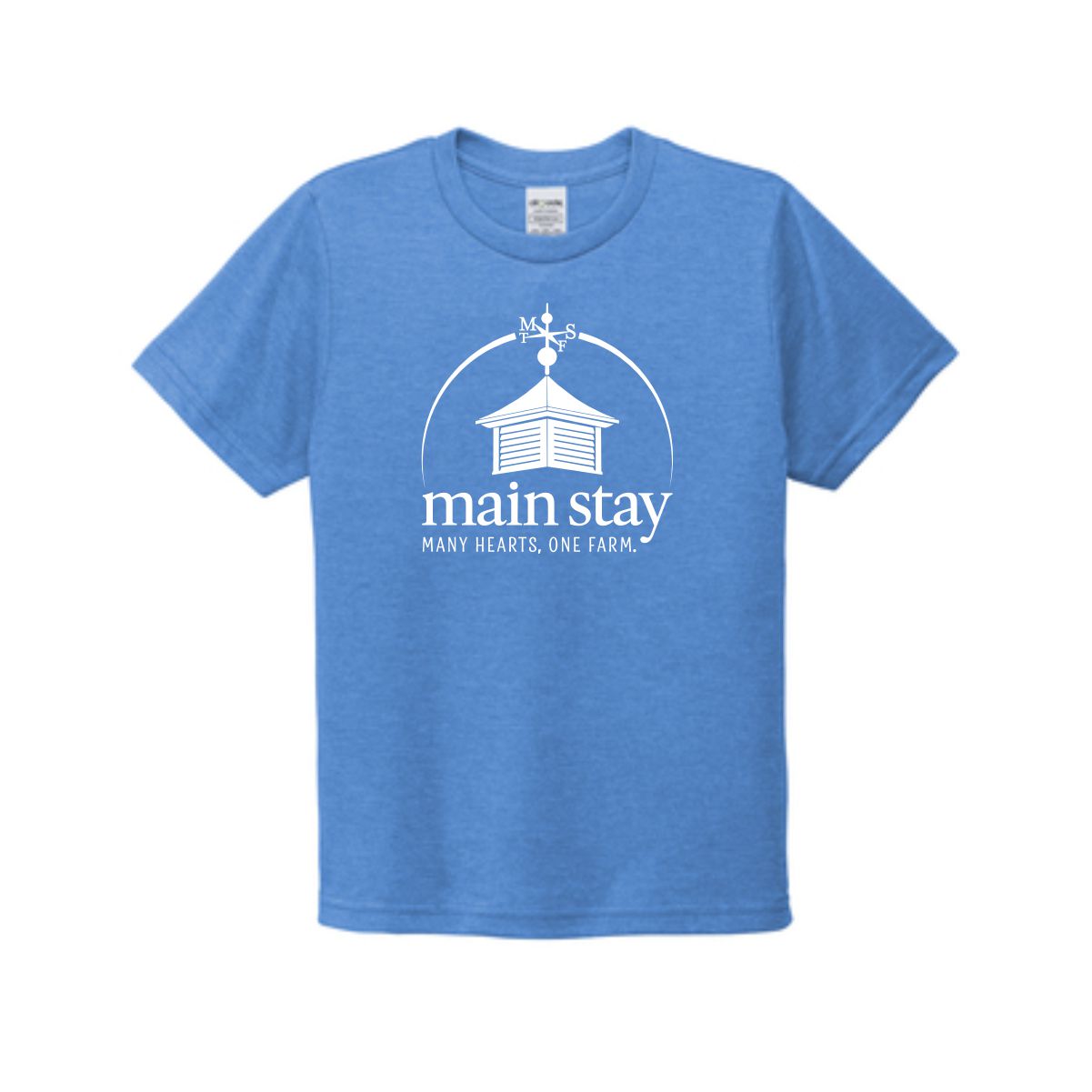 Main Stay Therapeutic Farm Youth Allmade Tri-Blend Tee - Image 3
