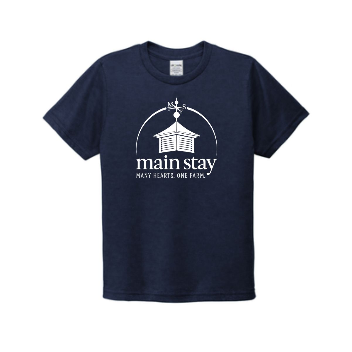Main Stay Therapeutic Farm Youth Allmade Tri-Blend Tee - Image 5