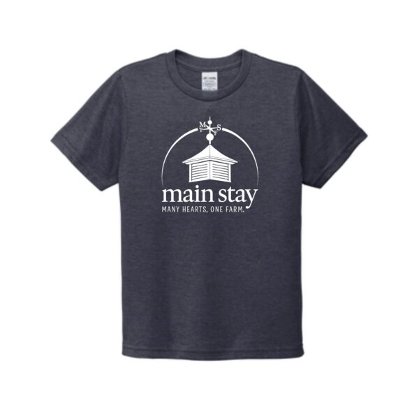 Main Stay Therapeutic Farm Youth Tri-Blend Tee - Image 7