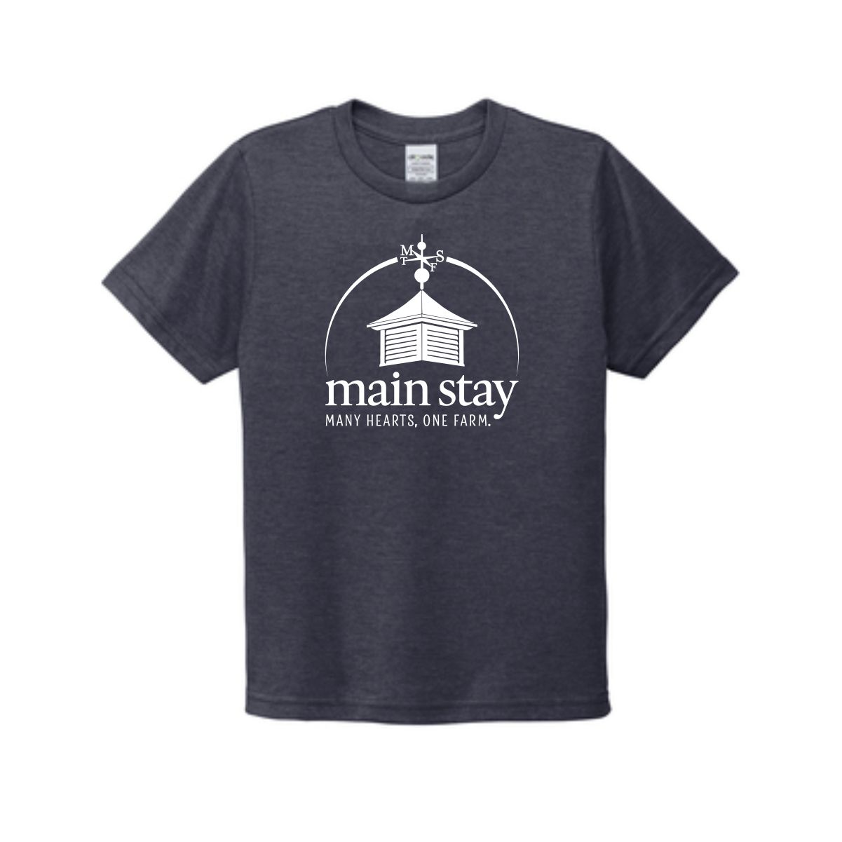 Main Stay Therapeutic Farm Youth Allmade Tri-Blend Tee - Image 7
