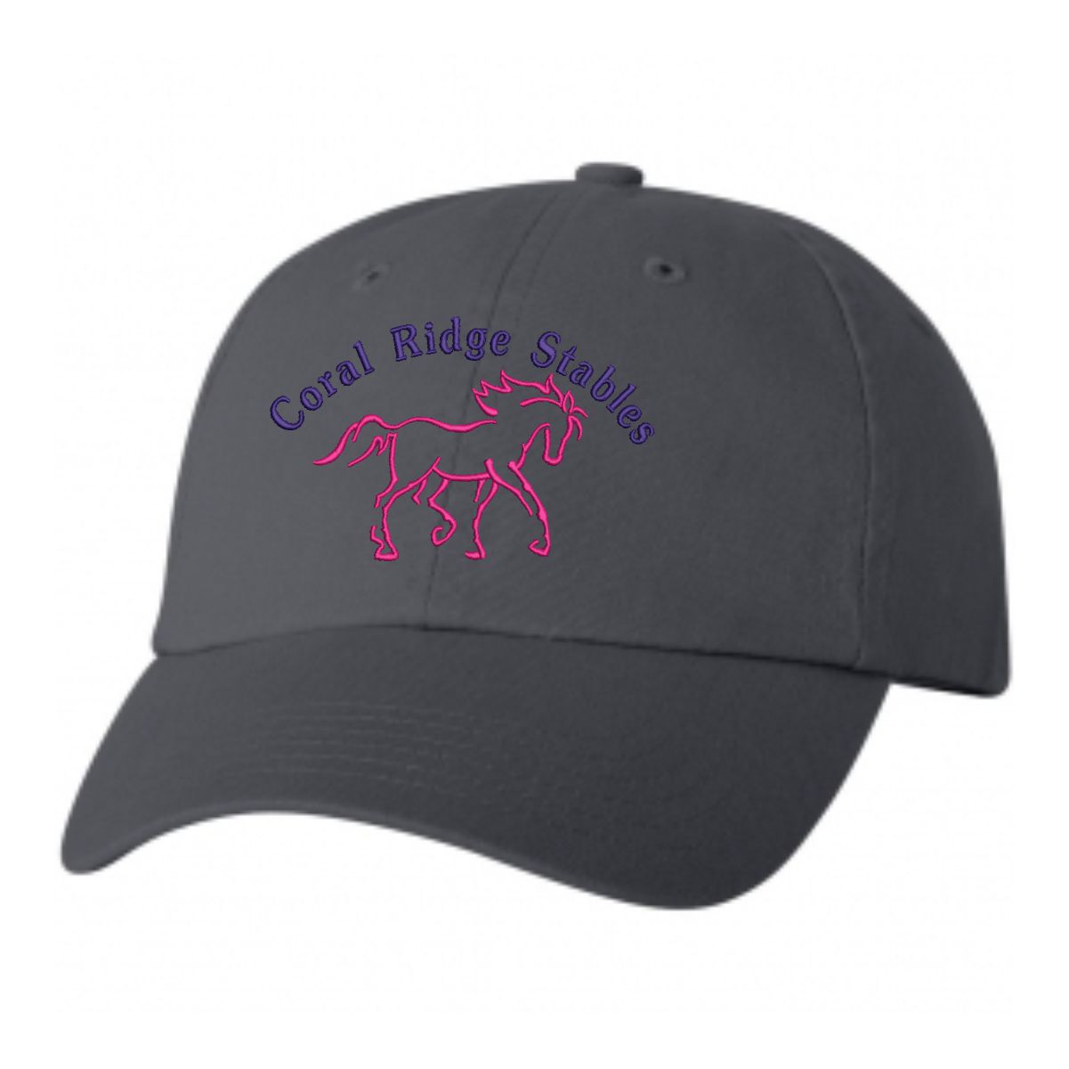 Coral Ridge Stables Bio-Washed Classic Cap - Image 2
