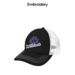 GDW Elementary District Mesh Back Cap