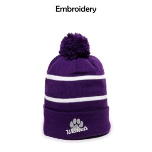 GDW Elementary Striped Beanie with Embroidery