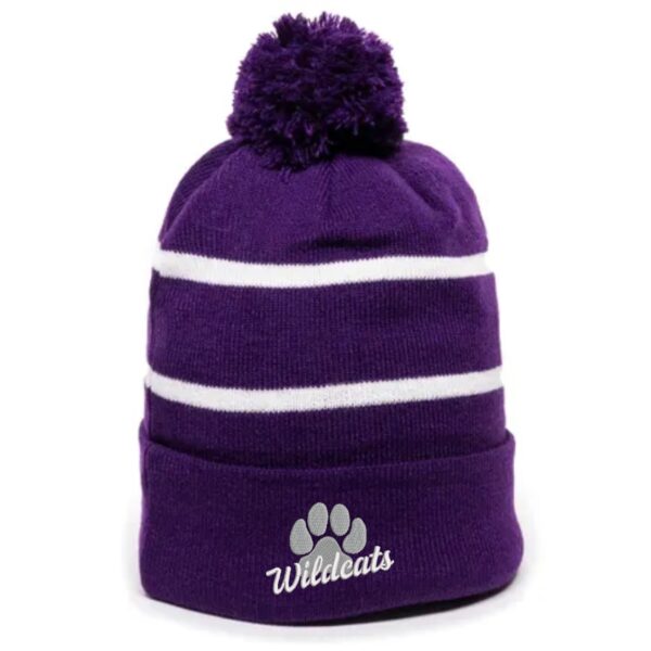 GDW Elementary Striped Beanie with Embroidery - Image 2
