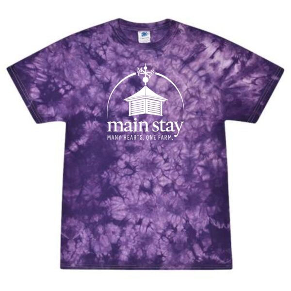 Main Stay Therapeutic Farm Adult & Youth Crystal Wash T-Shirt - Image 5