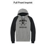 Gilberts Elementary School Adult Colorblock Raglan Hoodie Sweatshirt with Logo 1