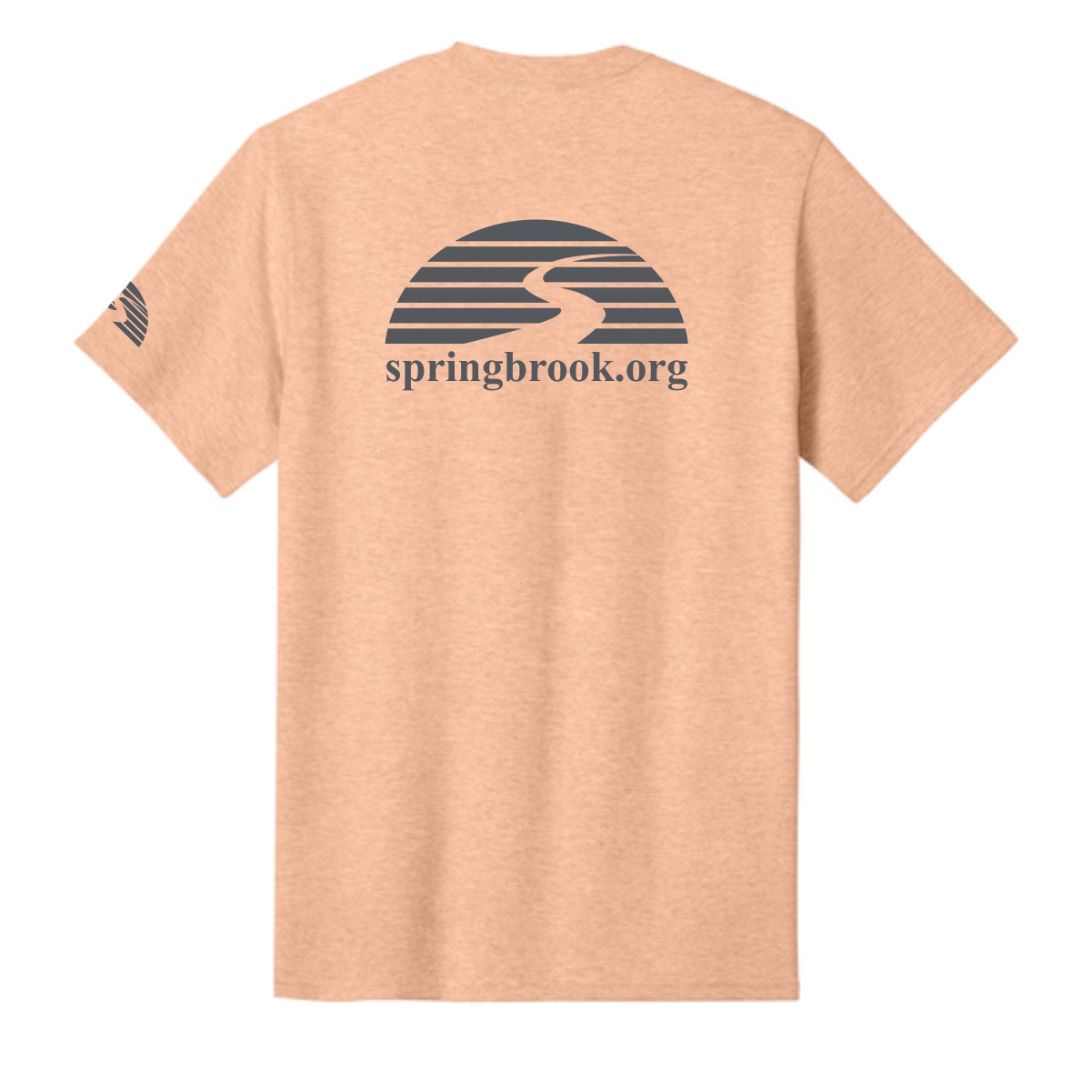 Springbrook Community Church Adult Core Cotton Tee - Image 11