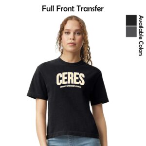 UW-Platteville Women's Ag 02 Ladies Garment-Dyed Heavyweight Boxy T-Shirt