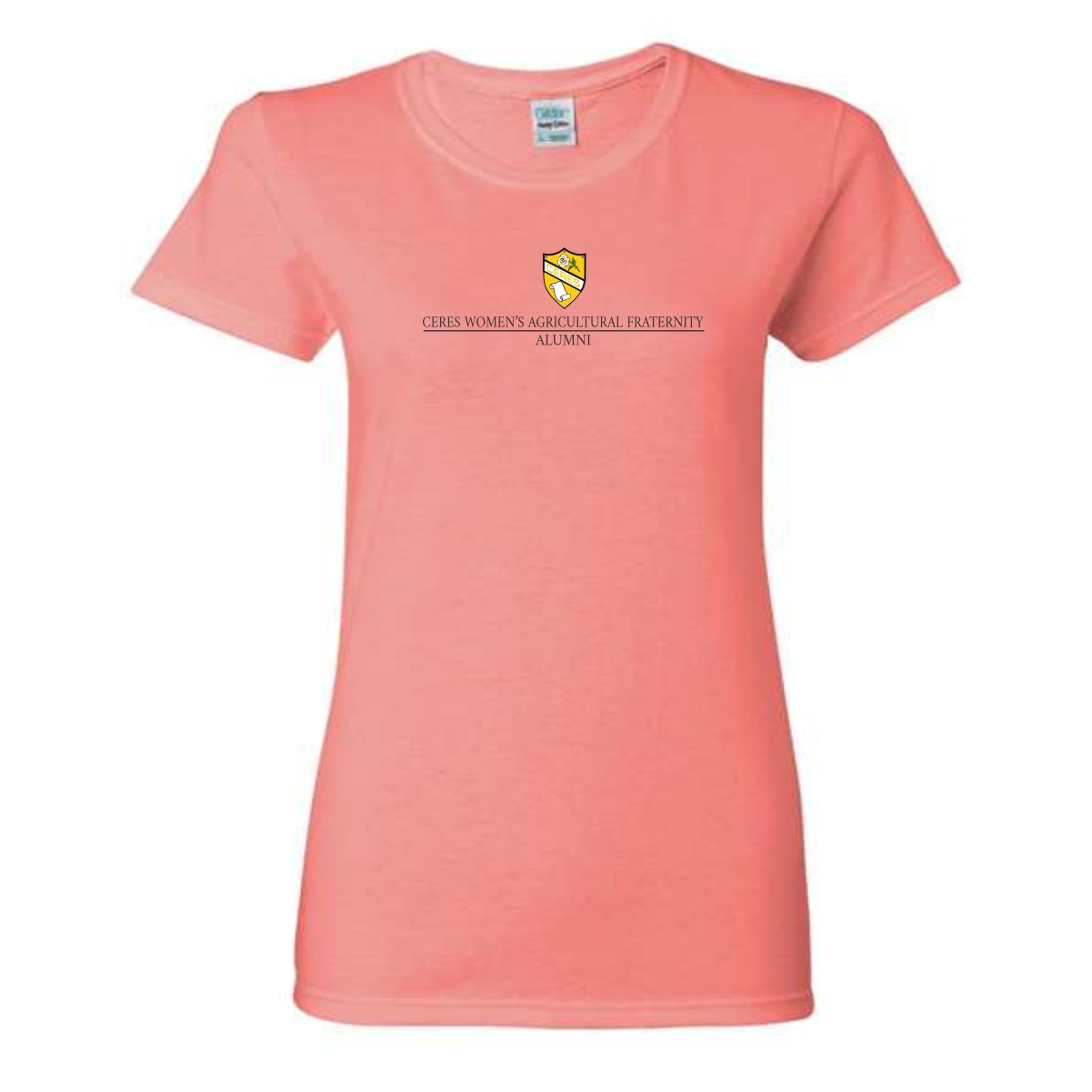 UW-Platteville Women's Ag 03 Ladies Heavy Cotton T-Shirt - Image 2