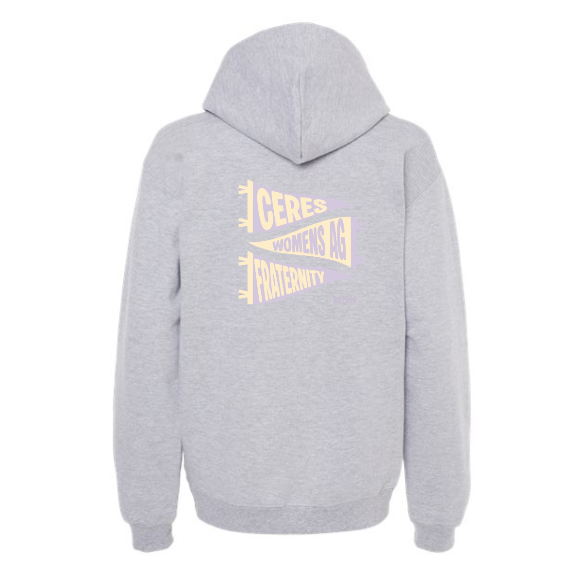 UW-Platteville Women's Ag 05 Softstyle Midweight Hooded Sweatshirt - Image 3