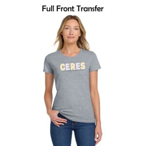 UW-Platteville Women's Ag 06 Ladies Heavy Cotton T-Shirt